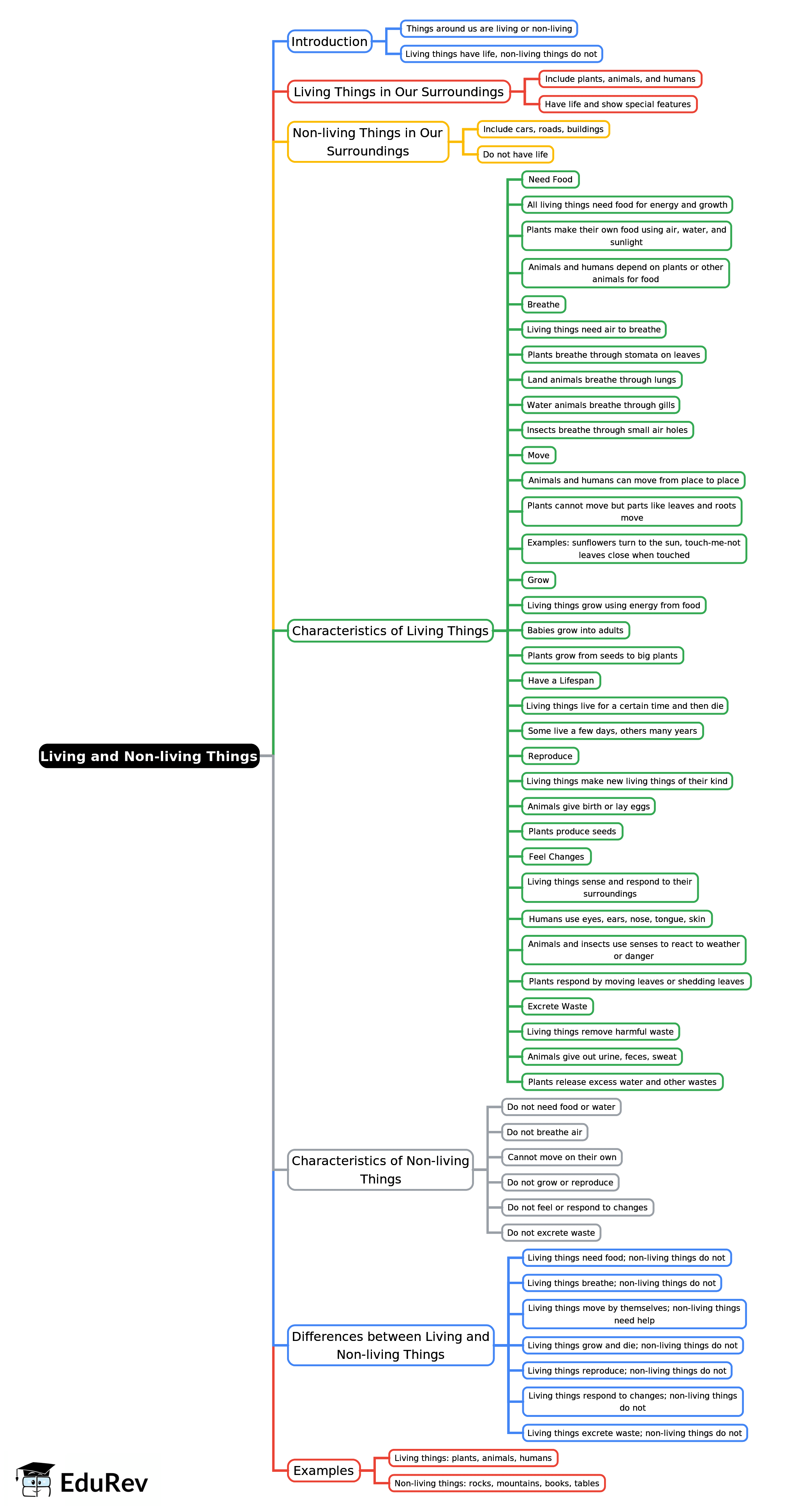 Mind Map: Living and Non-living Things | Year 1 Science IGCSE (Cambridge)