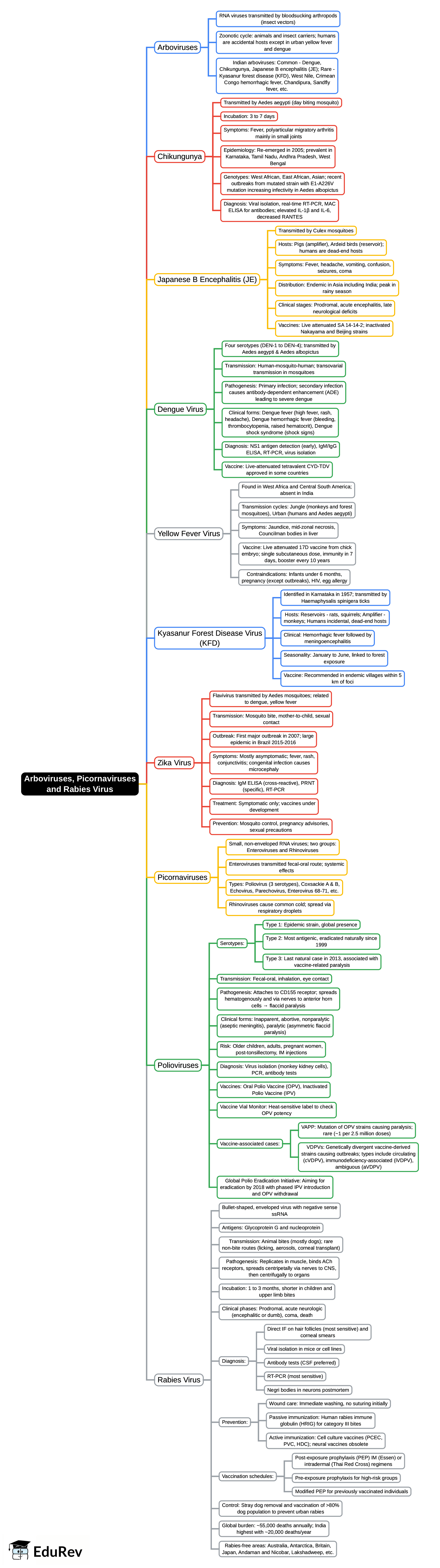 Mind Map: Arboviruses, Picornaviruses and Rabies Virus | Microbiology - NEET PG