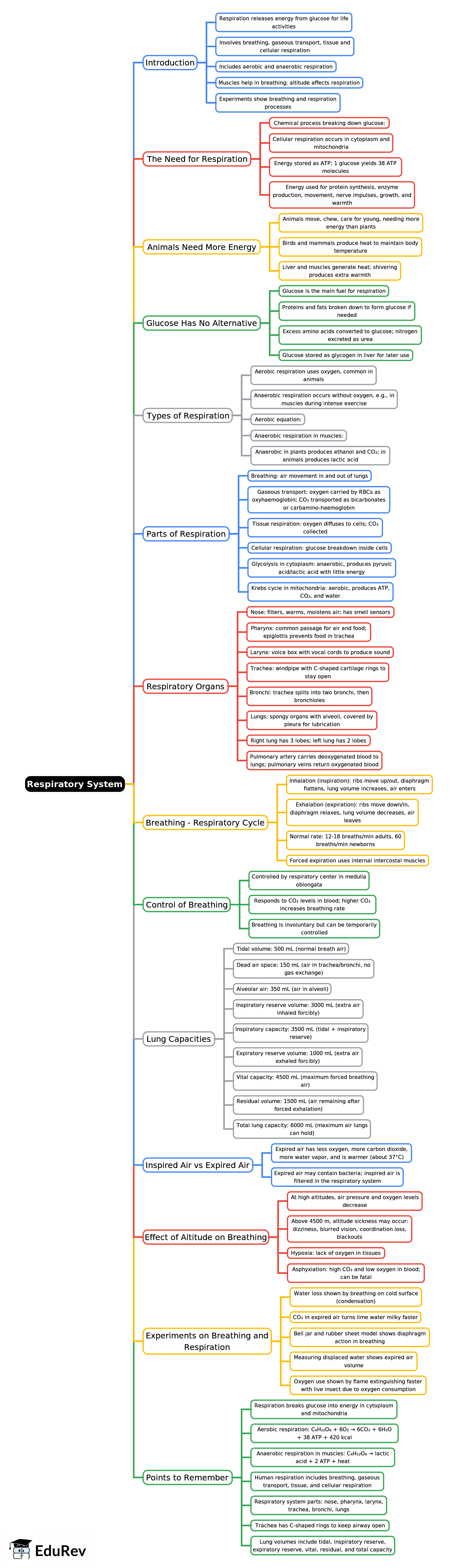 Mind Map: Respiratory System | Biology Class 9 ICSE