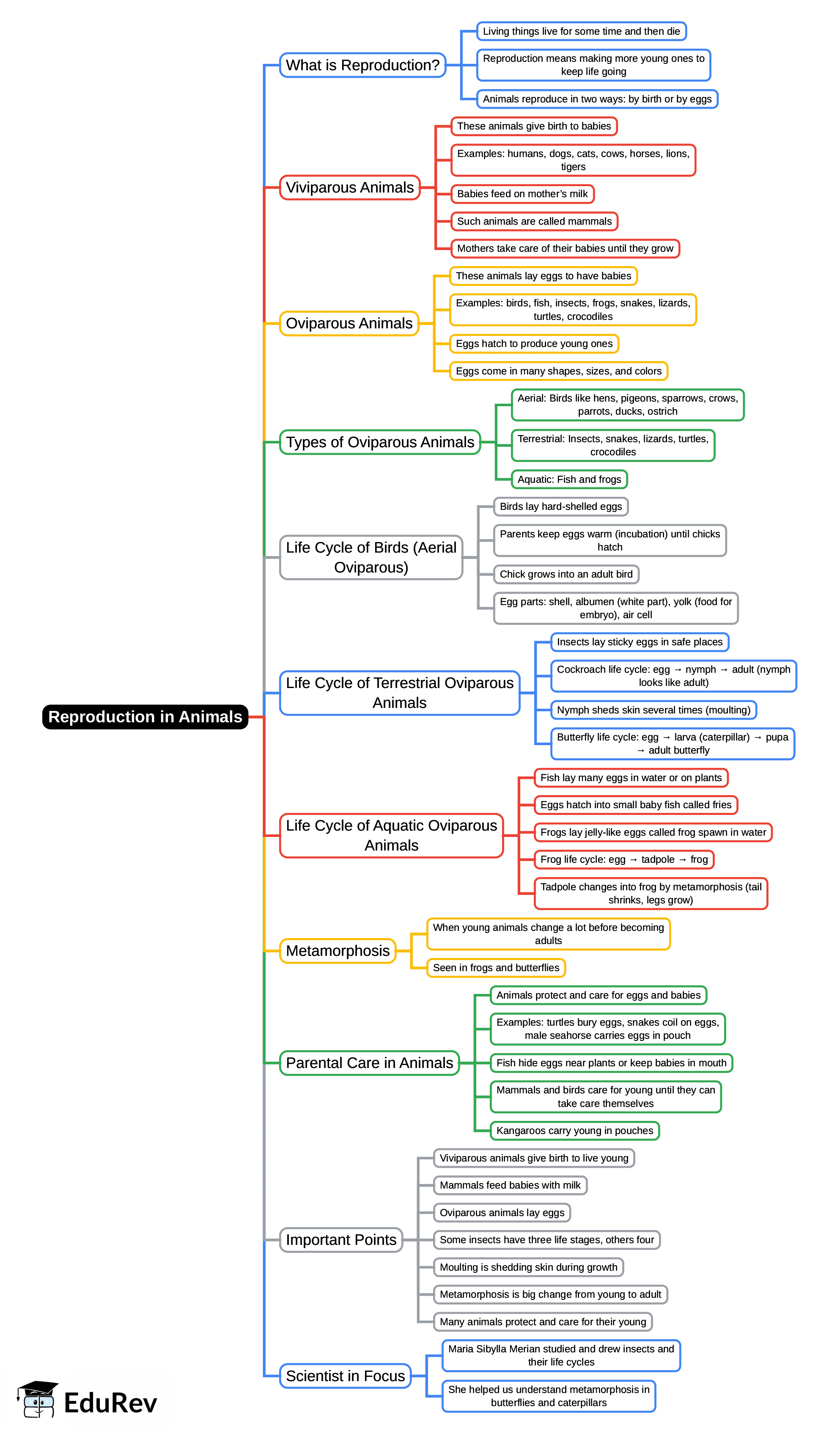 Mind Map: Reproduction in Animals | Science for Class 4