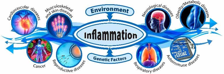 Inflammation Chapter Notes | Pathology - NEET PG