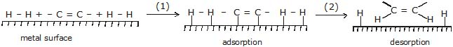 Hydrocarbons, CBSE, Class XI, IIT JEE, Syllabus, Preparation, AIPMT, NCERT, Important, Alkanes, Alkenes, Alkynes
