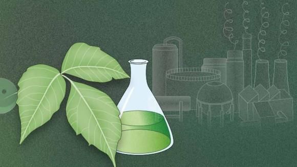 Detailed Overview: Environmental Chemistry | Science & Technology for UPSC CSE