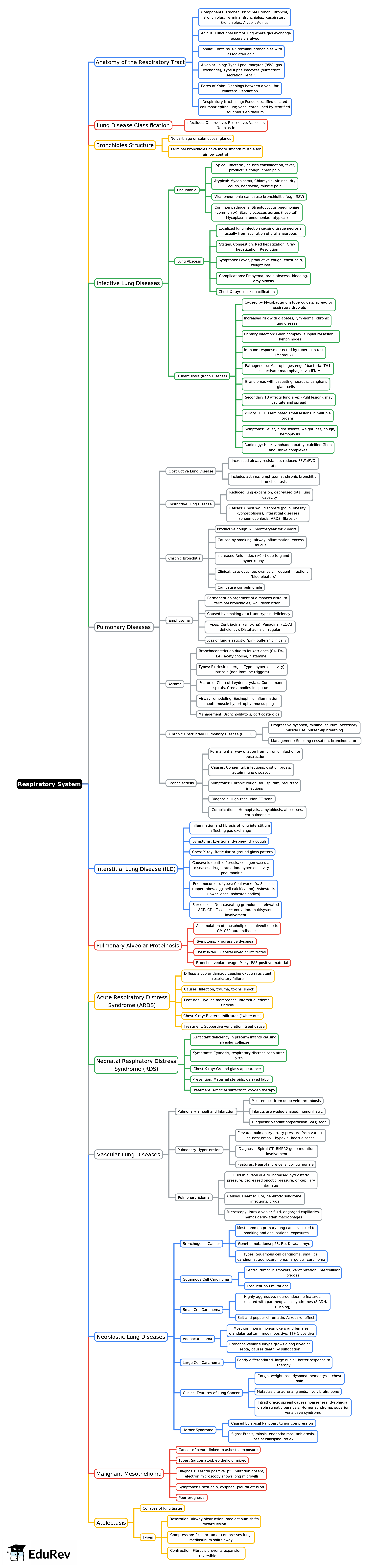 Mind Map: Respiratory System | Biology and Biochemistry for MCAT