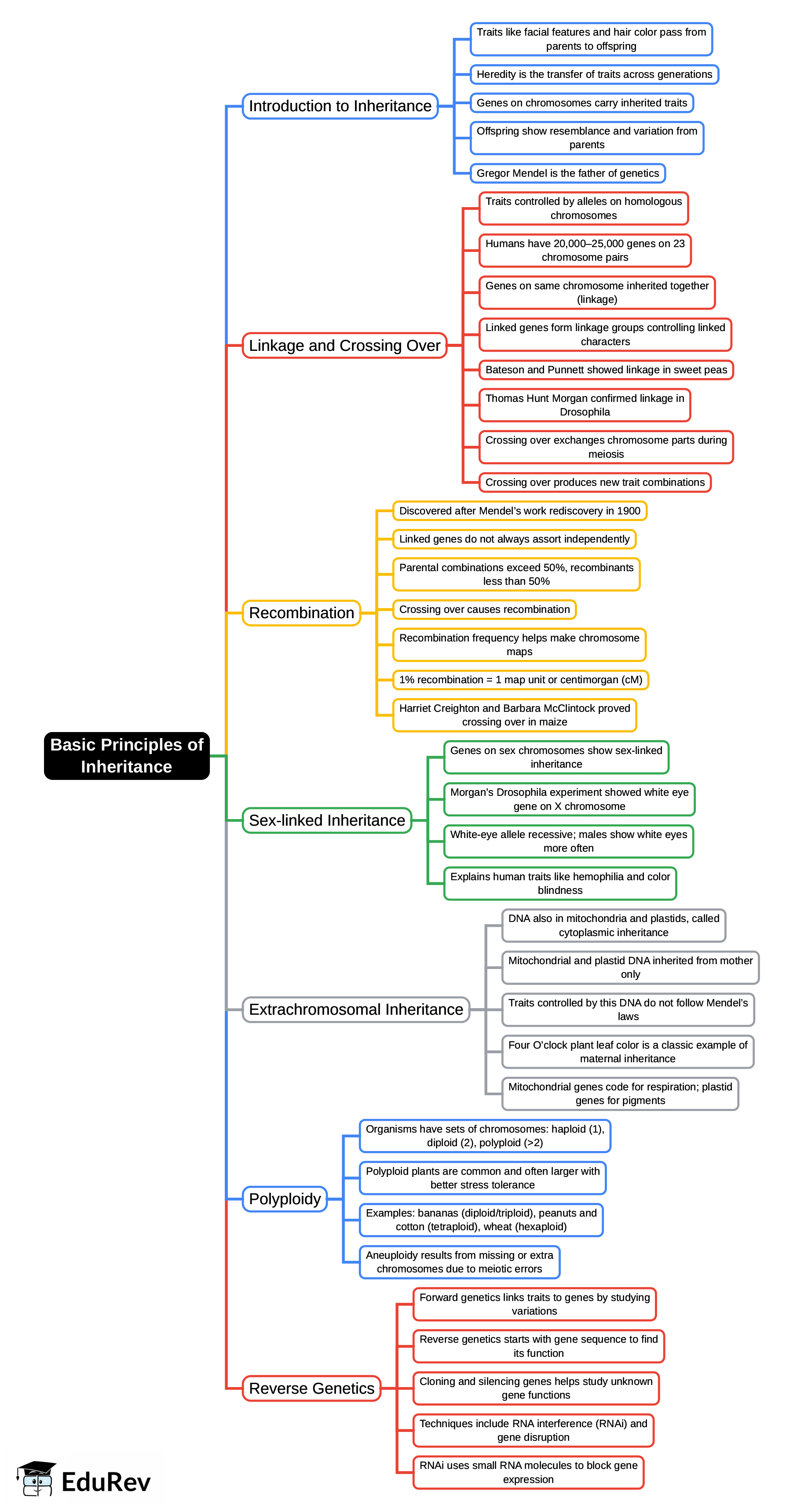 Mind Map: Basic Principles of Inheritance