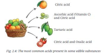 Class 7 Science Chapter 2 NCERT Based Activity - Exploring Substances: Acidic, Basic and Neutral