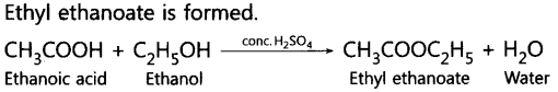 Carbon and its Compounds Important Questions Class 10 Science