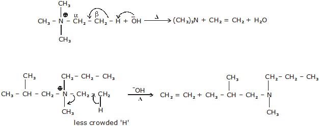 Hydrocarbons, CBSE, Class XI, IIT JEE, Syllabus, Preparation, AIPMT, NCERT, Important, Alkanes, Alkenes, Alkynes