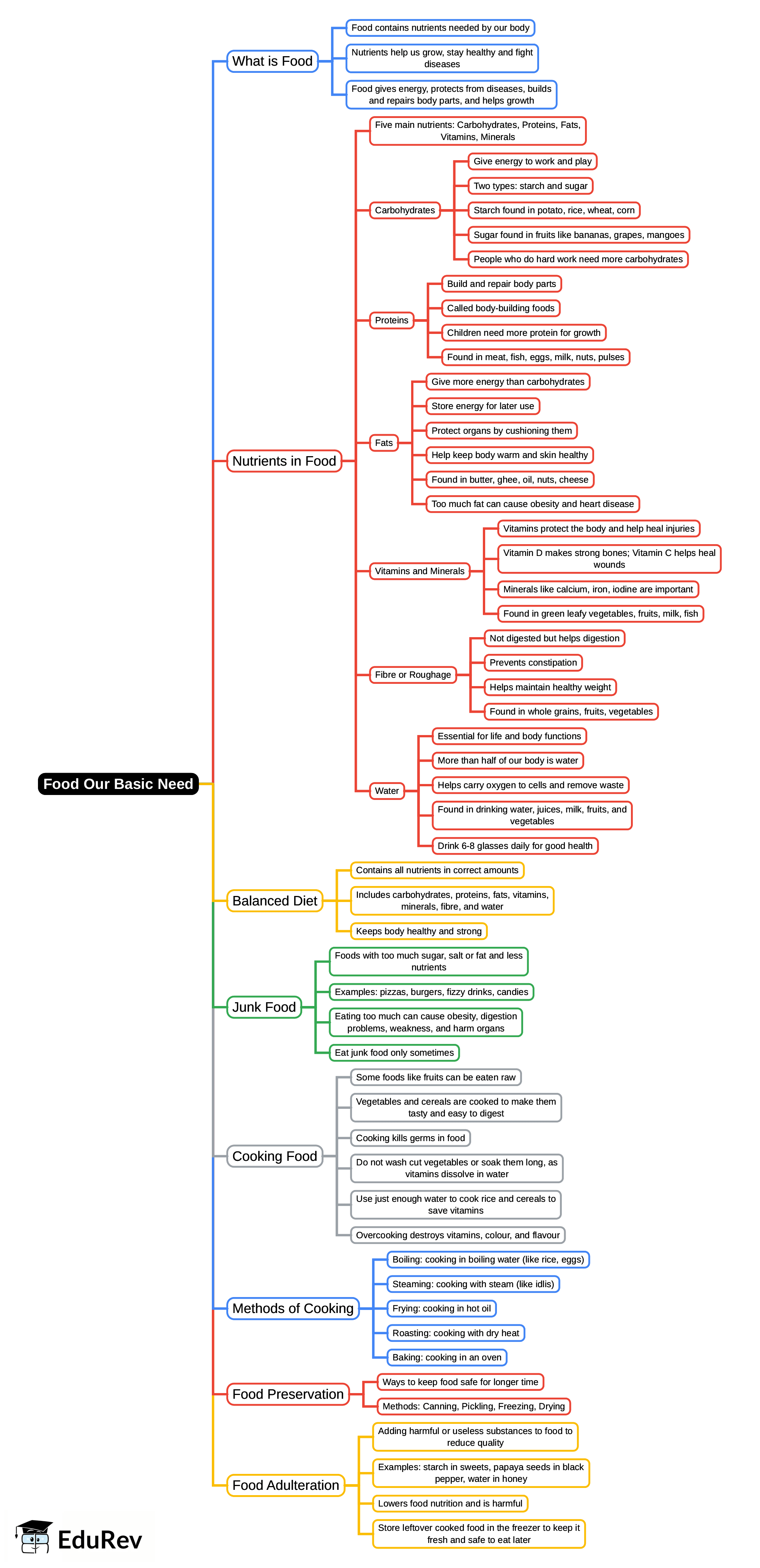 Mind Map: Food: Our Basic Need | Science for Class 4