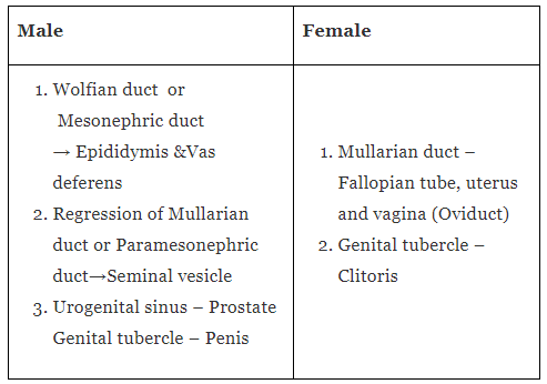 Doc: Mammary Glands | Additional Study Material for NEET