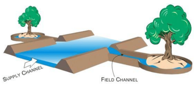 Basin Irrigation System, Irrigation Engineering | Irrigation Engineering Notes - Agricultural Engineering