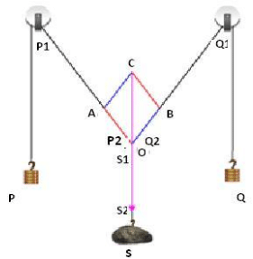 Theory & Procedure, Parallelogram Law of Vectors | Additional Study Material for NEET
