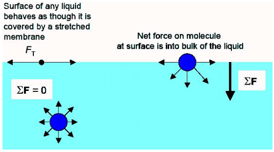 Theory & Procedure, Surface Tension | Additional Study Material for NEET