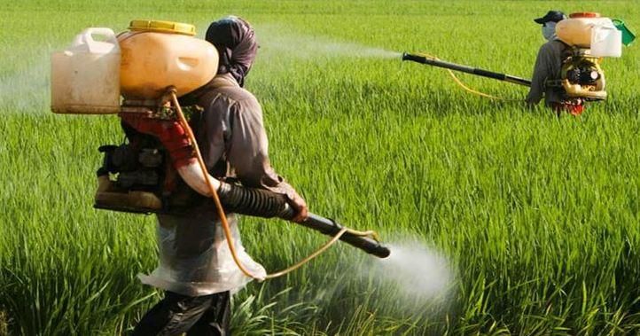 Fig: Persons spraying weedicides