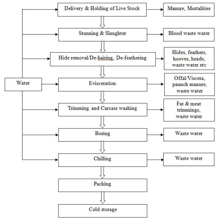 Poultry Meat and Egg Processing, Crop Process Engineering | Crop Process Engineering Notes - Agricultural Engg - Agricultural Engineering
