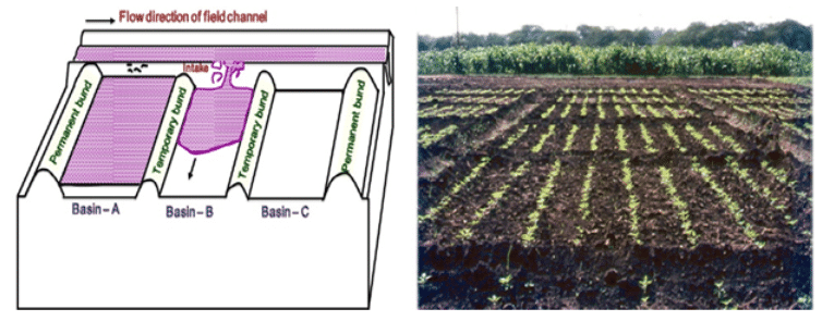 Surface Irrigation Methods, Irrigation Engineering | Irrigation Engineering Notes - Agricultural Engineering