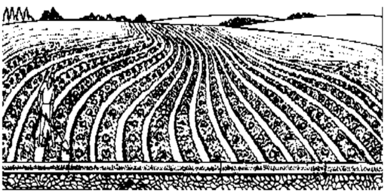 Surface Irrigation Methods, Irrigation Engineering | Irrigation Engineering Notes - Agricultural Engineering