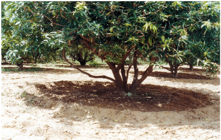 Surface Irrigation Methods, Irrigation Engineering | Irrigation Engineering Notes - Agricultural Engineering