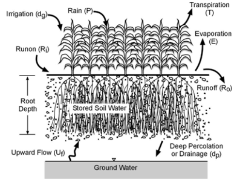 Crop Water Requirement, Irrigation Engineering | Irrigation Engineering Notes - Agricultural Engineering