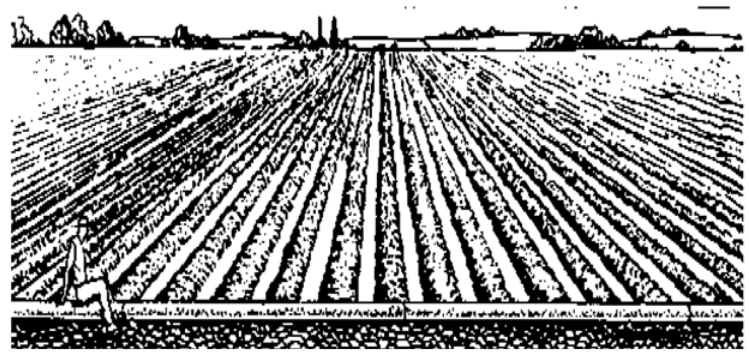Surface Irrigation Methods, Irrigation Engineering | Irrigation Engineering Notes - Agricultural Engineering