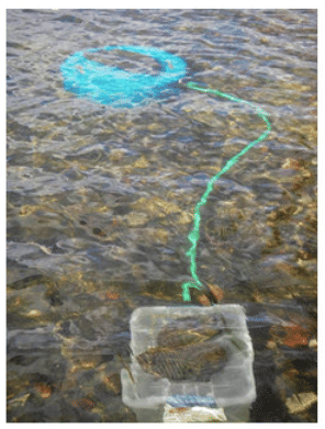 Measurement of Water Yield from Watersheds, Watershed Planning and Management