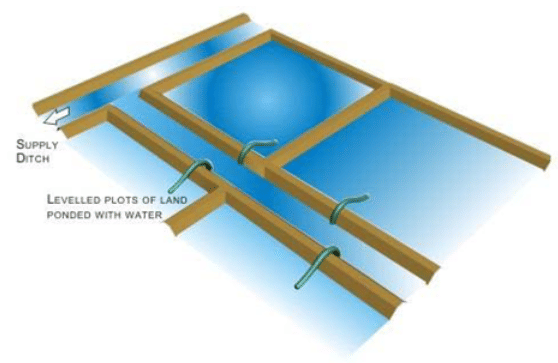 Basin Irrigation System, Irrigation Engineering | Irrigation Engineering Notes - Agricultural Engineering