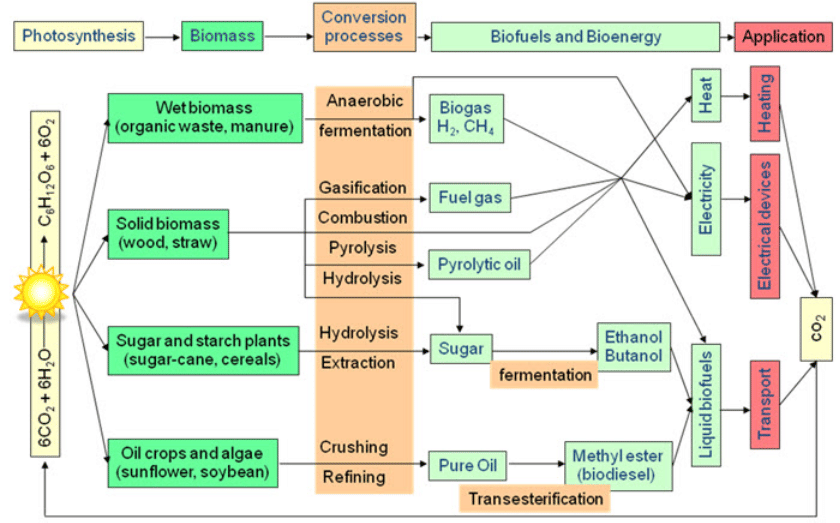Introduction to biomass management, Biomass Management for Fodder & Energy | Biomass Management for Fodder & Energy - Agricultural Engineering
