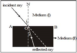 Important,Chapter,Notes,Ray,Optics,Class,10th,Science