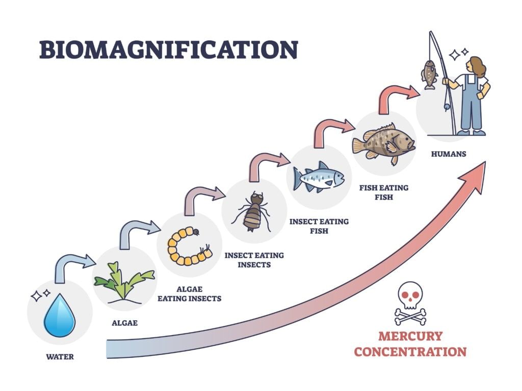 Important Environmental Terminology - People, Development and Environment Notes