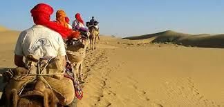 Eco Tourism and Wildlife Tourism in Rajasthan | RPSC Preparation: All subjects - RPSC RAS (Rajasthan)