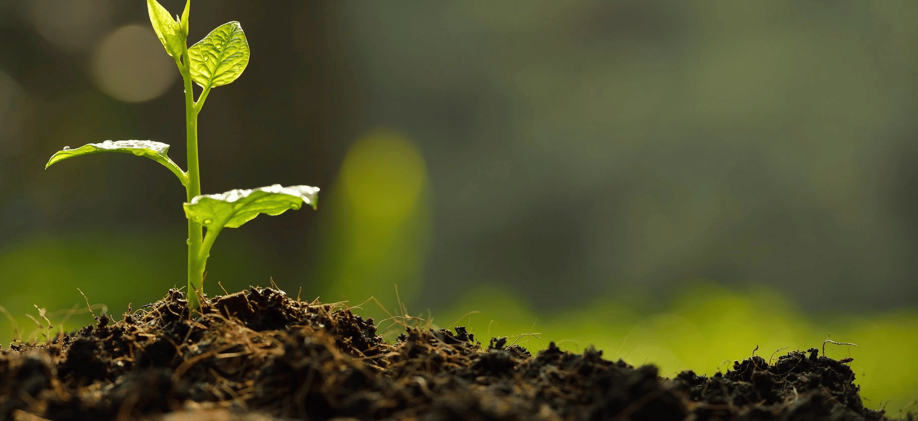Solar Energy - People, Development and Environment Notes