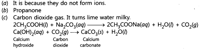 Carbon and its Compounds Important Questions Class 10 Science