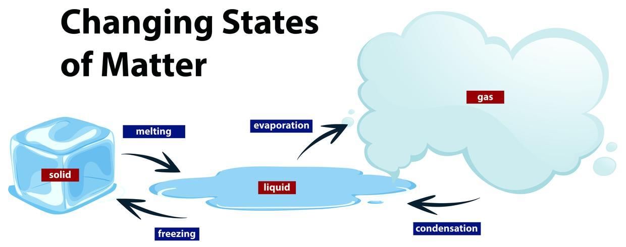 Assignment: Matter in Our Surroundings | Science Class 9