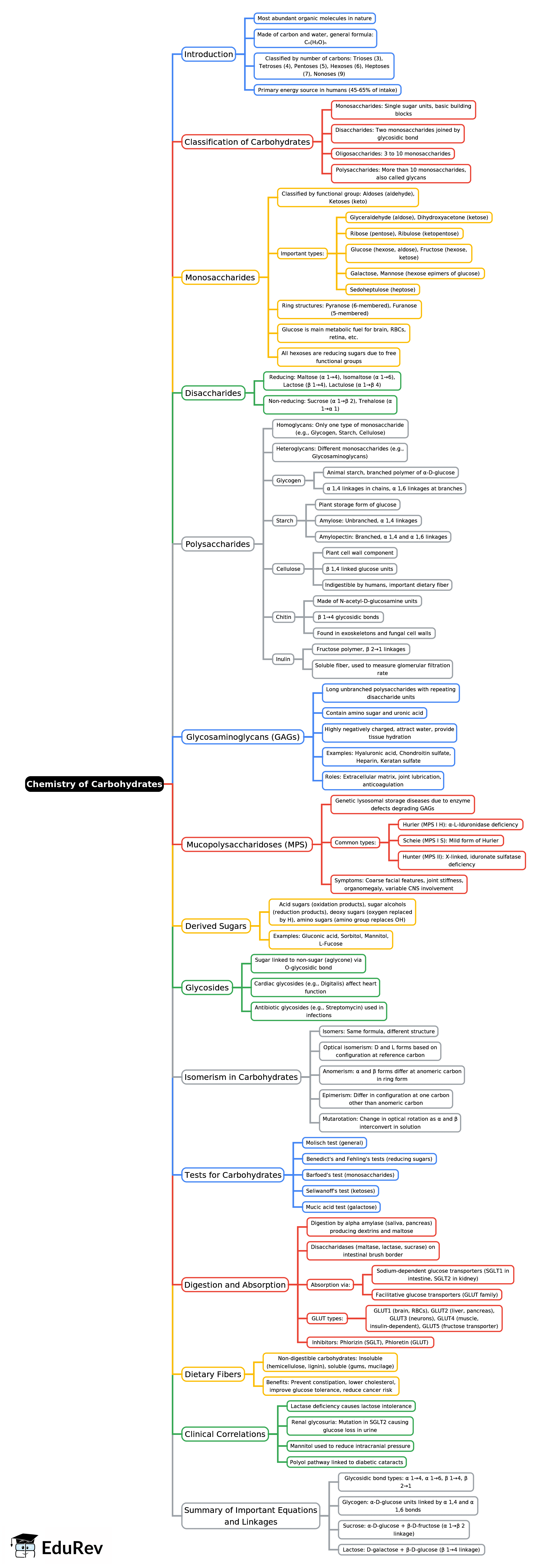 Mind Map: Chemistry of Carbohydrates | Chemistry for ACT