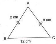 Chapter notes: Area of a Trapezium and a Polygon | Mathematics Class 8 ICSE
