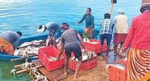 Fishing | APPSC State Specific Preparation Course - APPSC (Andhra Pradesh)