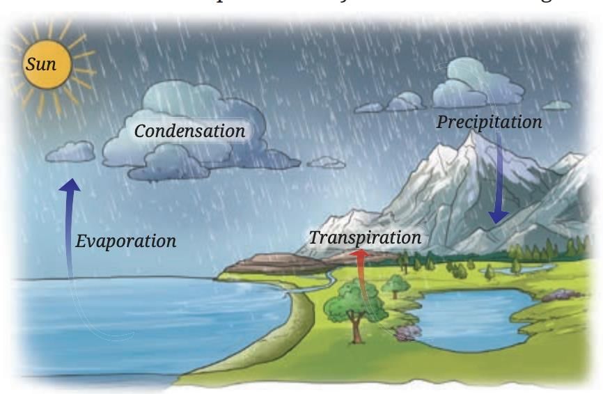 Heat Transfer in Nature Class 7 Notes Science Chapter 7 Free PDF