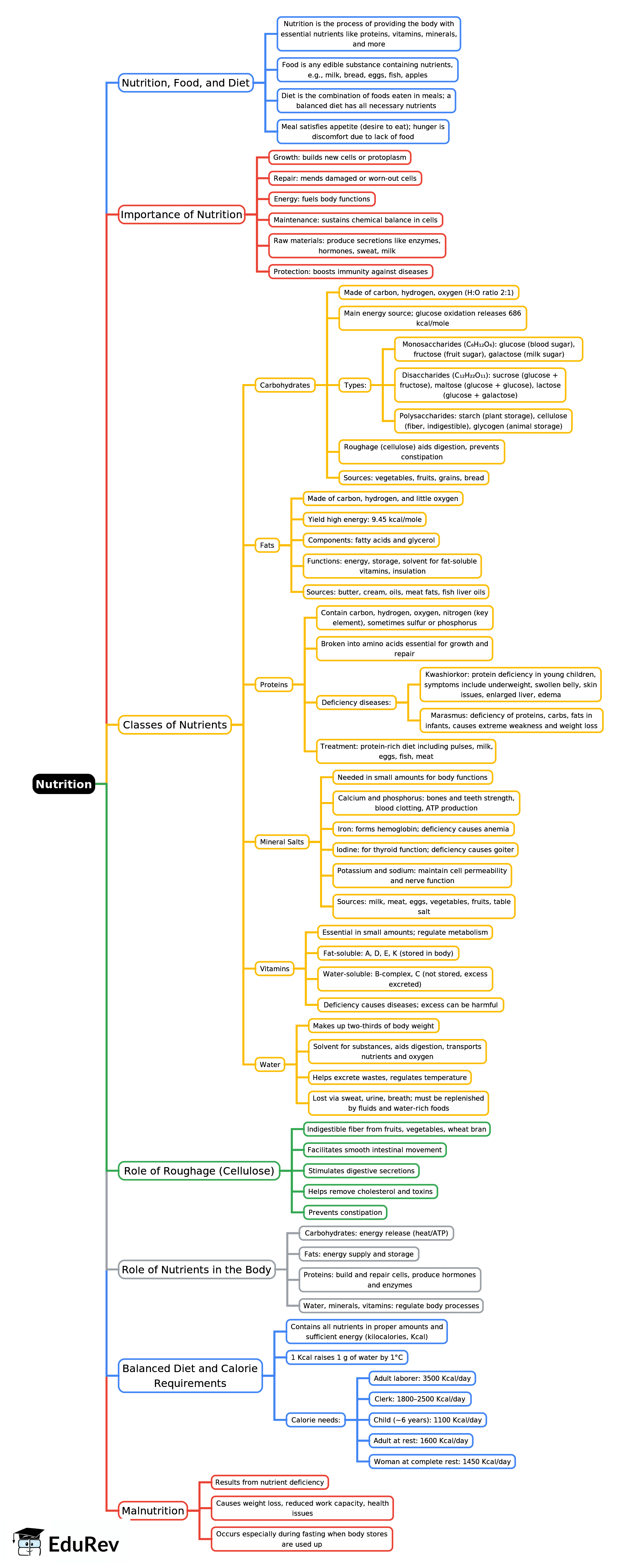 Mind Map: Nutrition | Year 8 Biology (Cambridge)