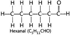 Carbon and its Compounds Important Questions Class 10 Science