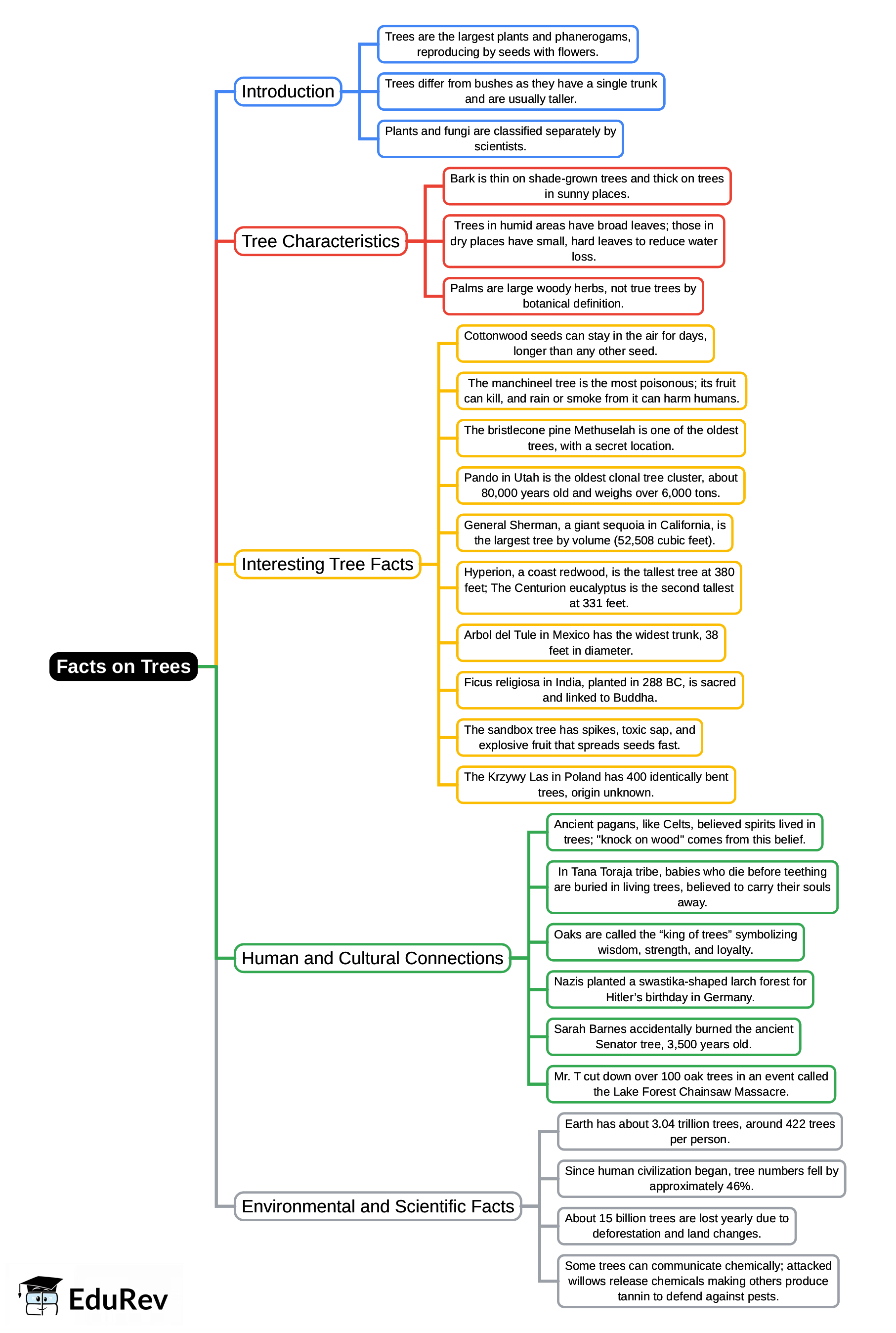 Mind Map: Facts on Trees