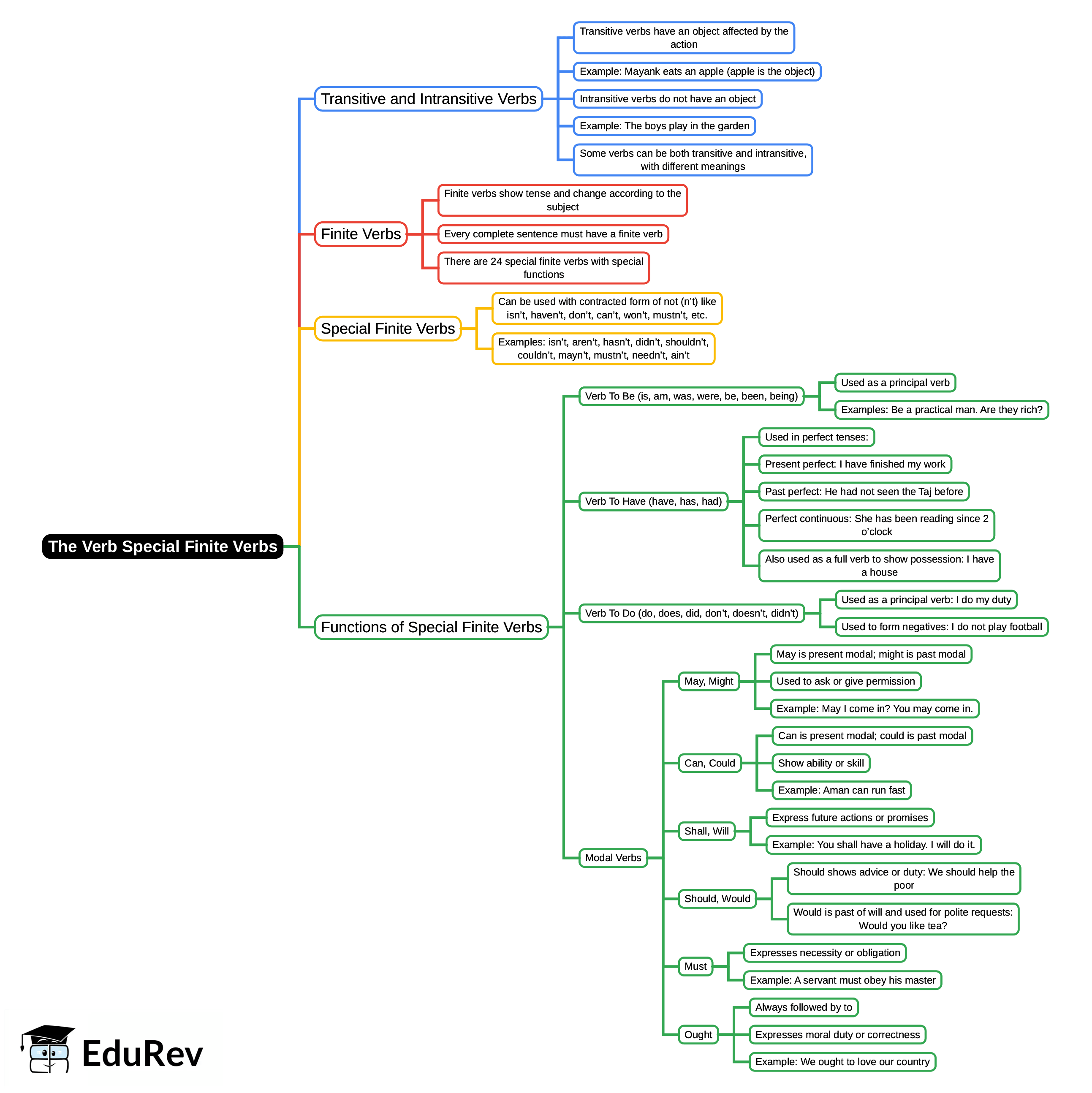 Mind Map: The Verb Special Finite Verbs | English Grammar Class 7