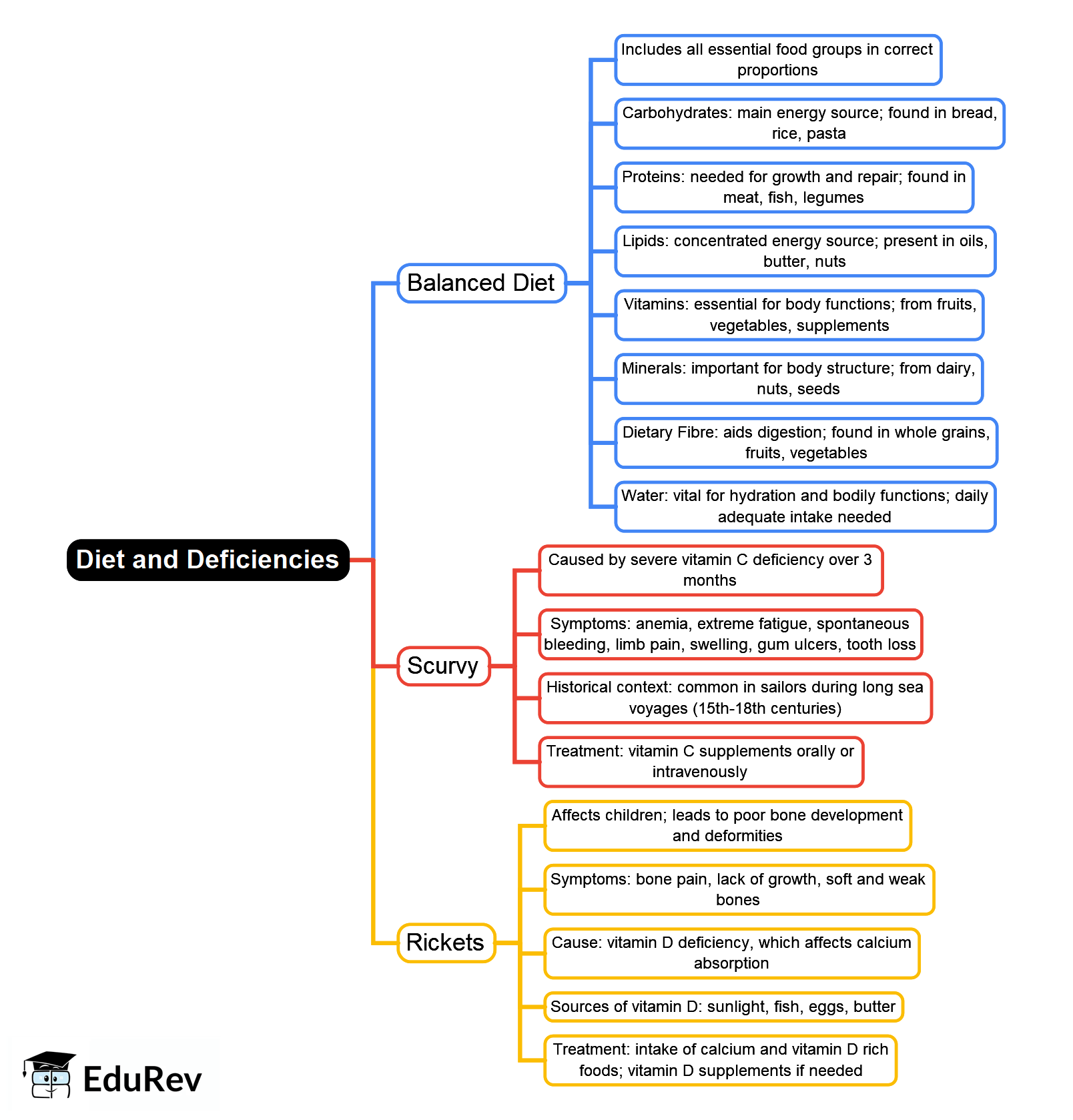 Mind Map: Diet & Deficiencies