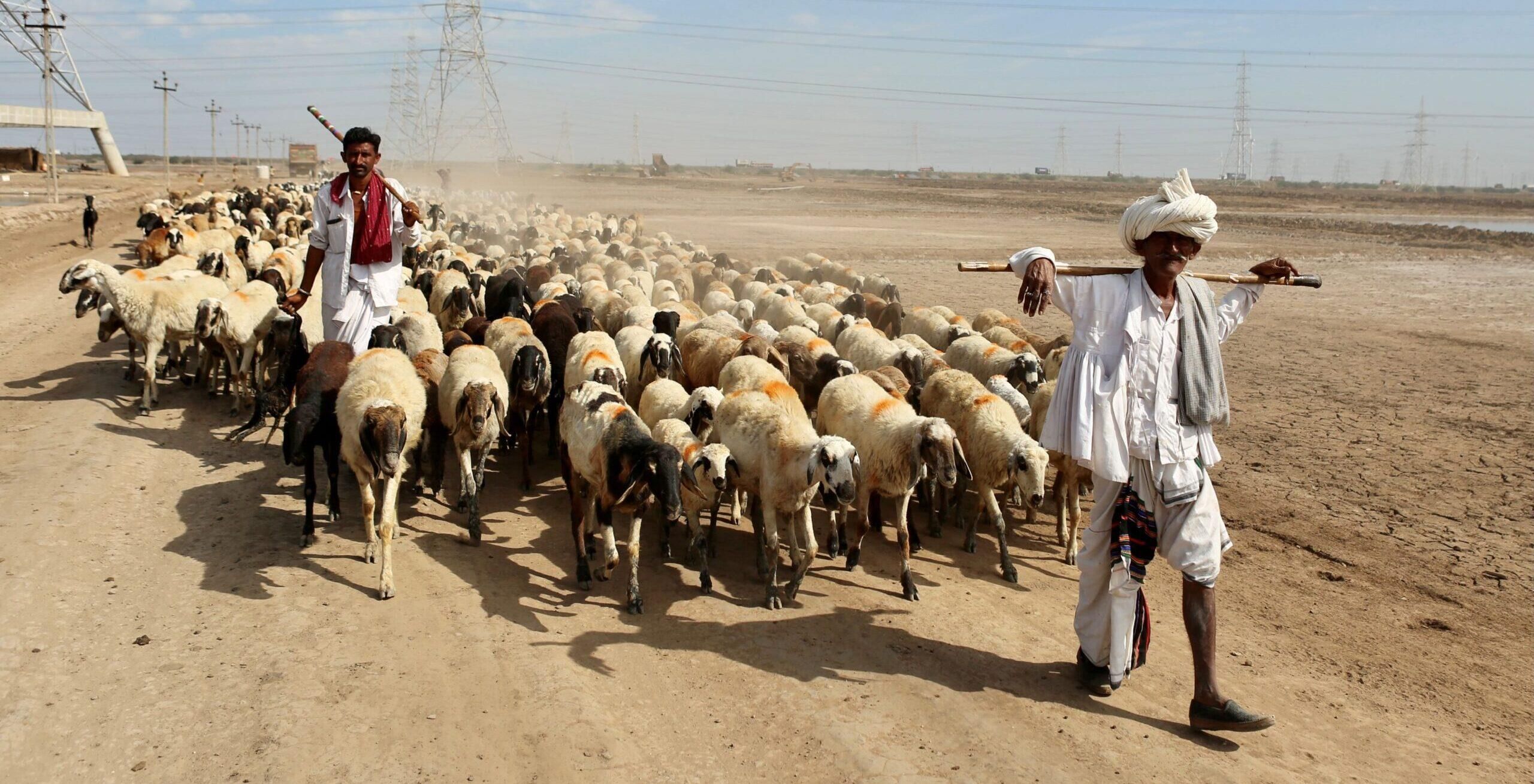 Class 7 History Chapter 5 Question Answers - Tribes, Nomads and Settled Communities