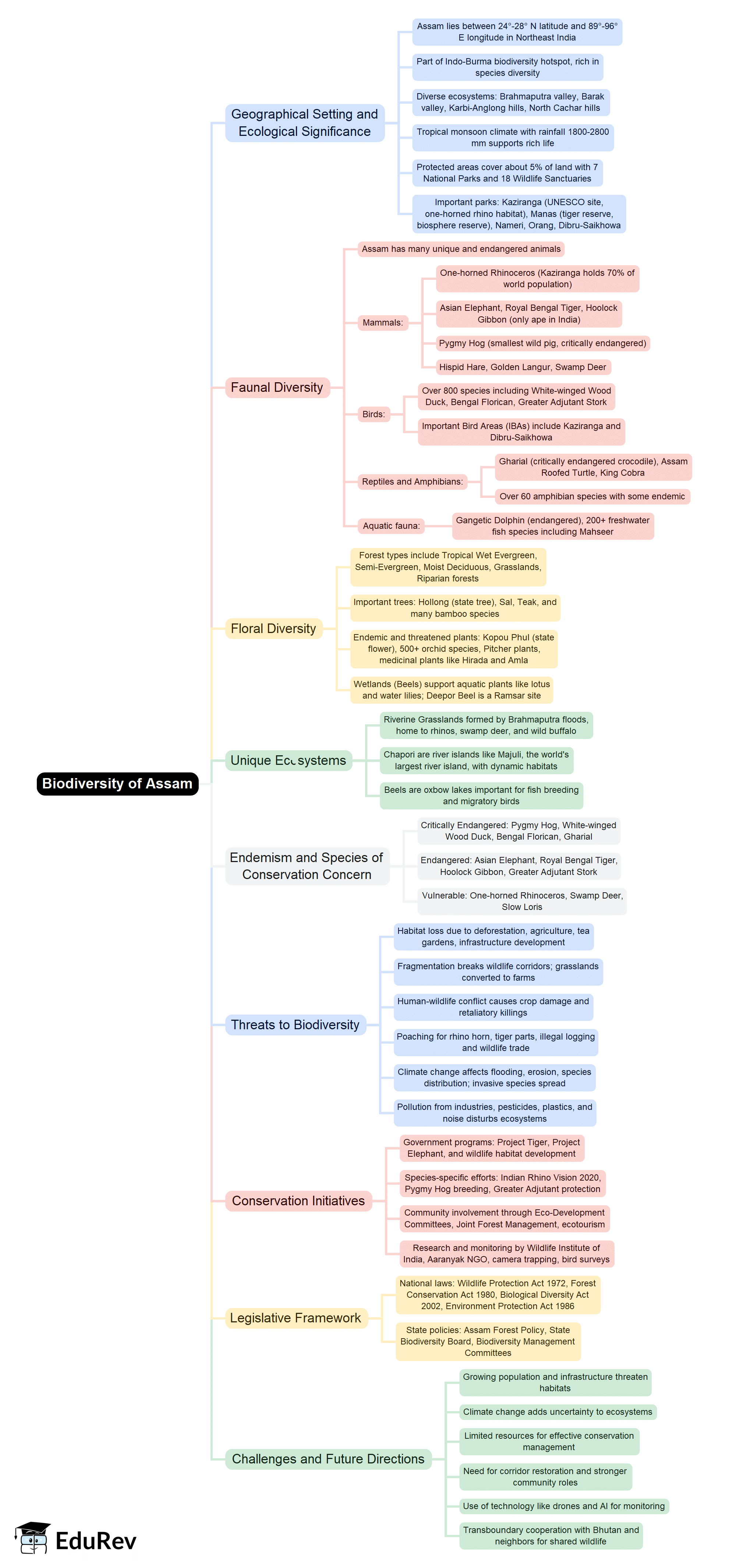 Mind Map: Biodiversity