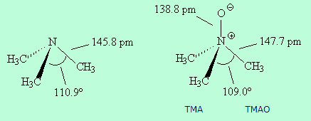 Shape of Trimethylamine - Class 12