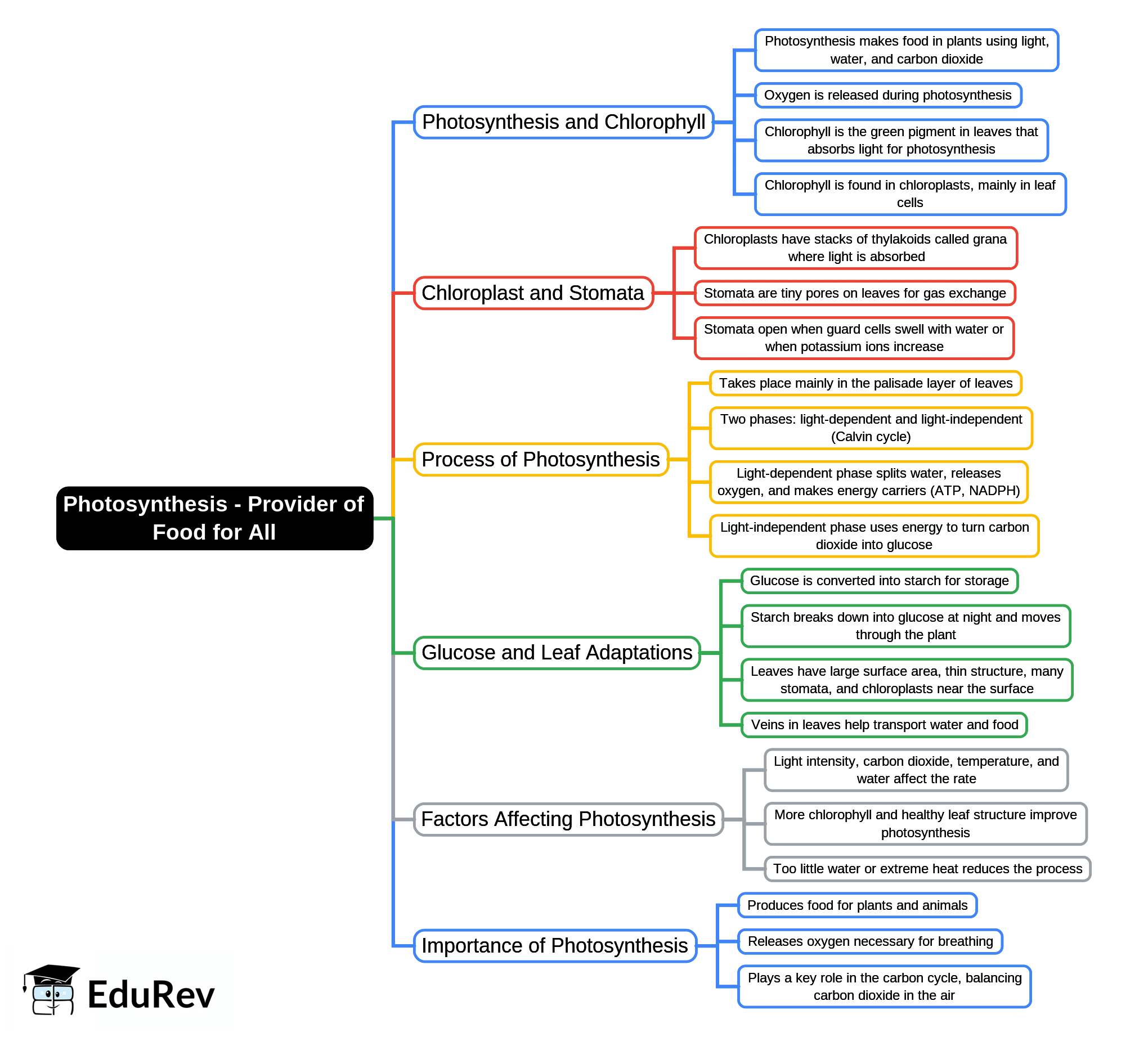 Mind Map: Photosynthesis - Provider of Food for All | Biology Class 10 ICSE