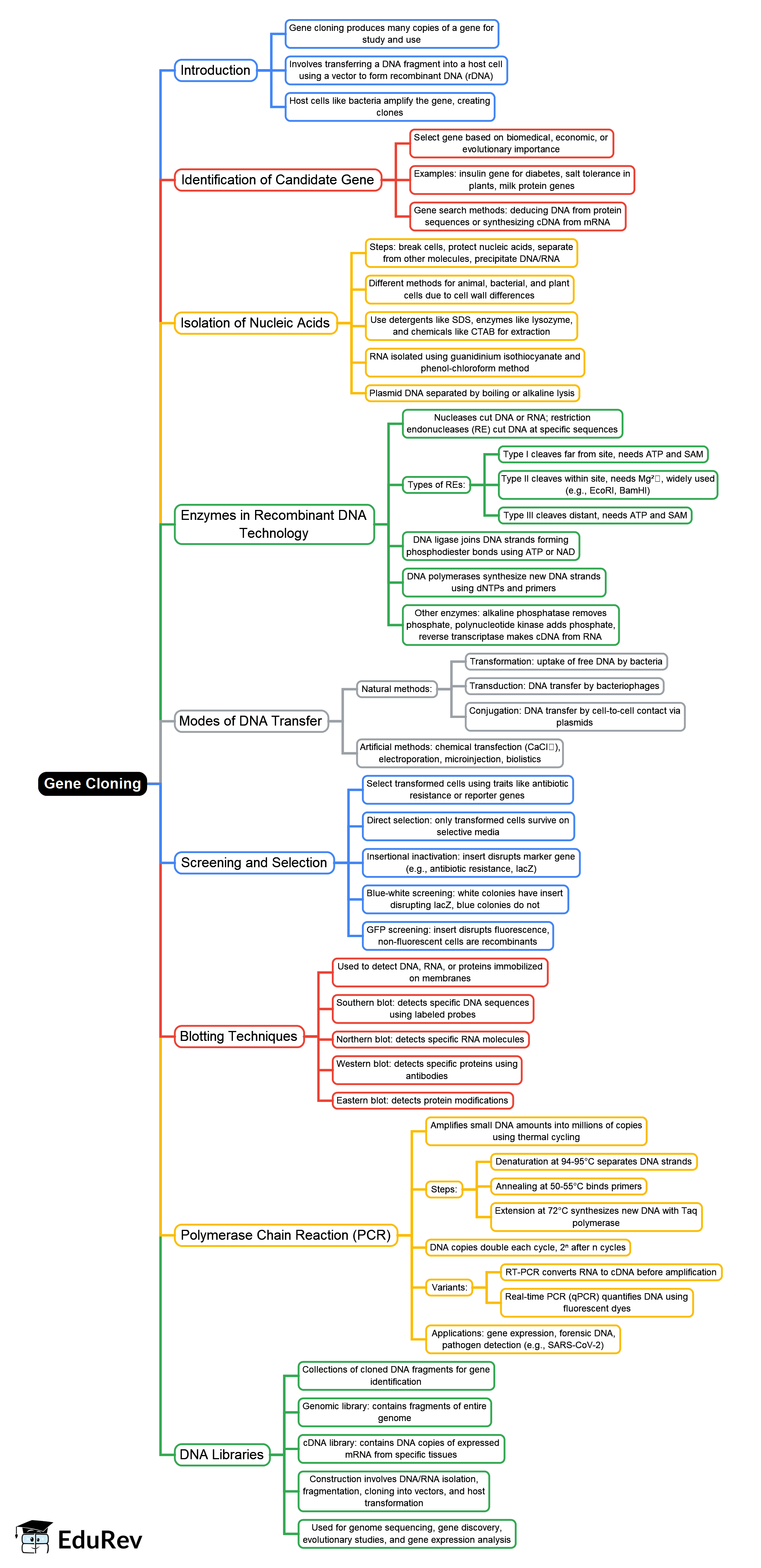Mind Map: Gene Cloning