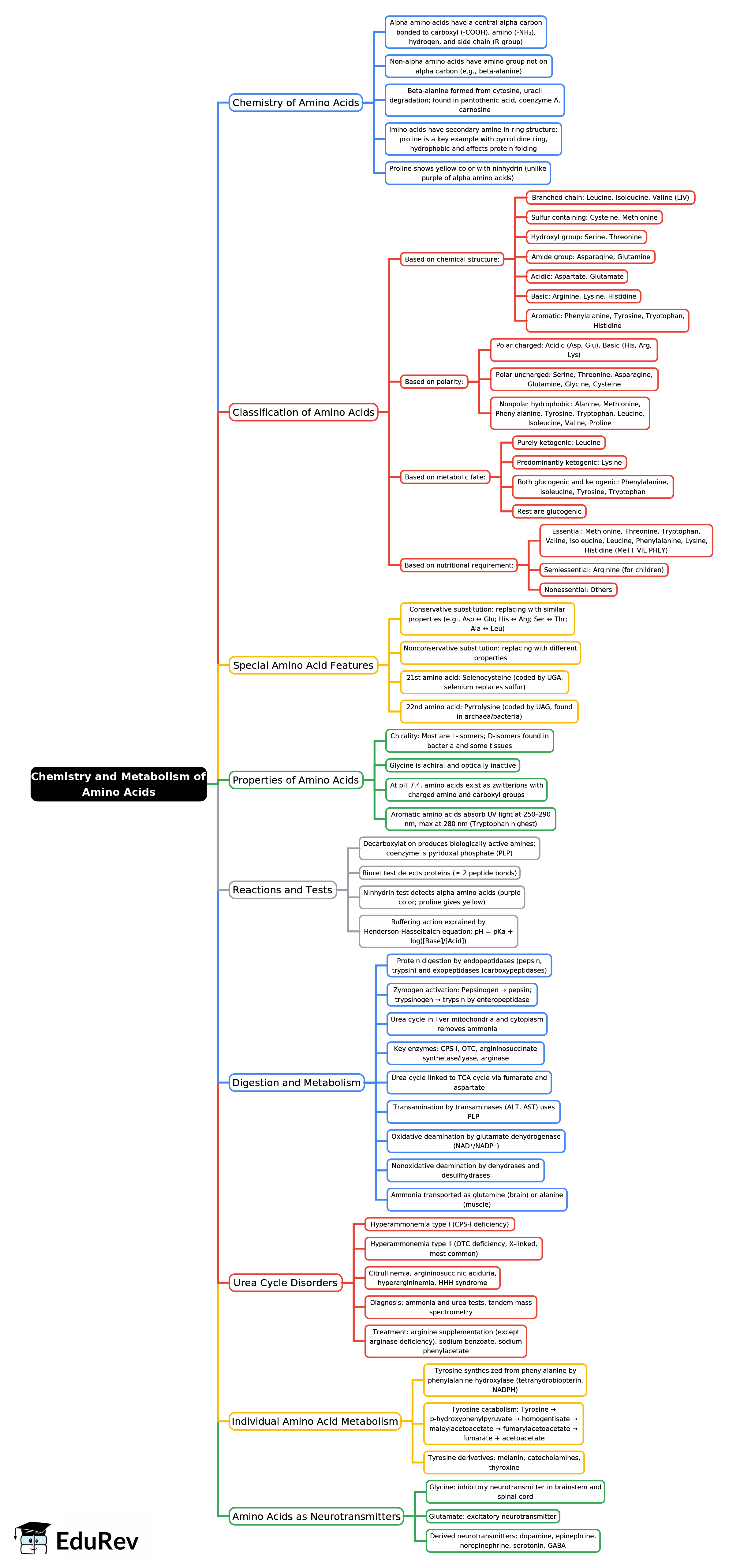 Mind Map: Chemistry and Metabolism of Amino Acids -1 | Biochemistry - NEET PG