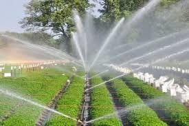 Irrigation Projects