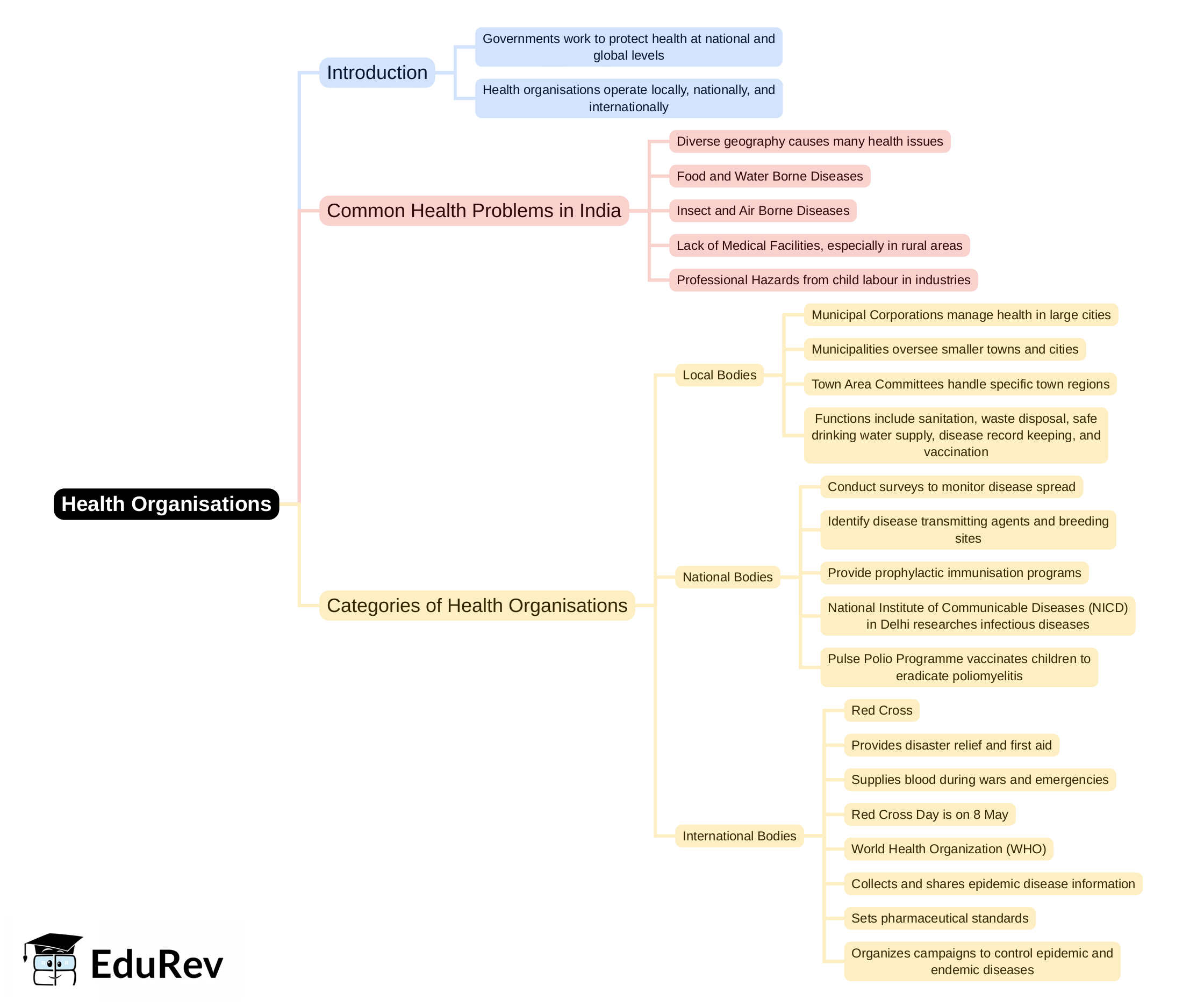 Mindmap: Health Organisations | Biology Class 10 ICSE